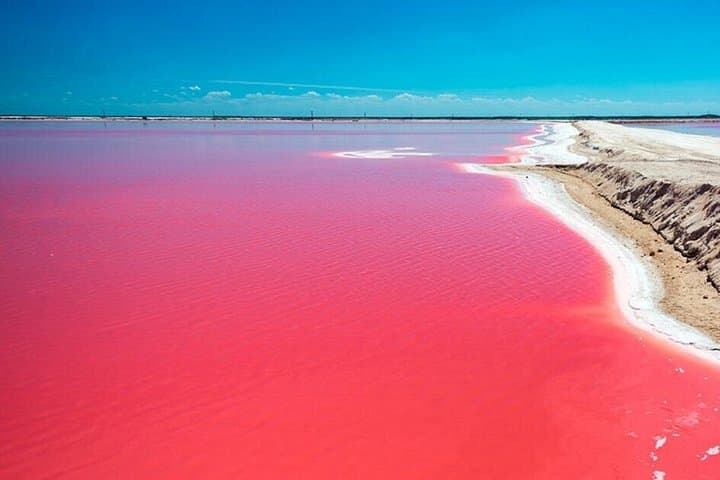 Las Coloradas Pink Lakes & Ría Lagartos Wildlife Tour from Cancún photo 4