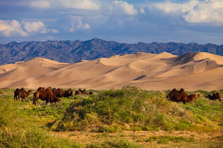 16-Day Mongolia: Desert to Steppe Overland Adventure photo 2