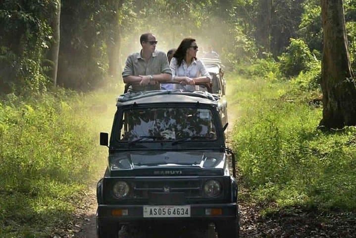 Sariska Tiger Reserve jeep safari from Jaipur: day-trip wildlife experience photo 2