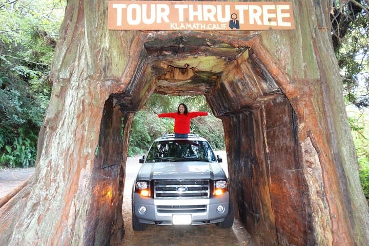 Explore Redwood National Park: A 2-Day Private Adventure from San Francisco photo 2