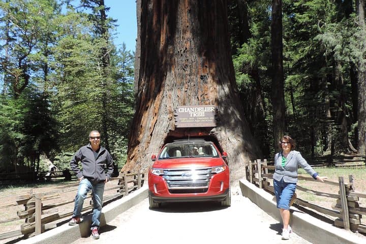 Explore the Majestic Avenue of the Giants: A Redwood Day Trip from San Francisco photo 2