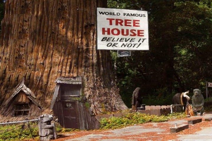 Explore Redwood National Park: A 2-Day Private Adventure from San Francisco photo 4