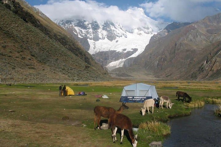 3-Day Huayhuash Mini Trek: Jahuacocha & Sambunya Pass Adventure