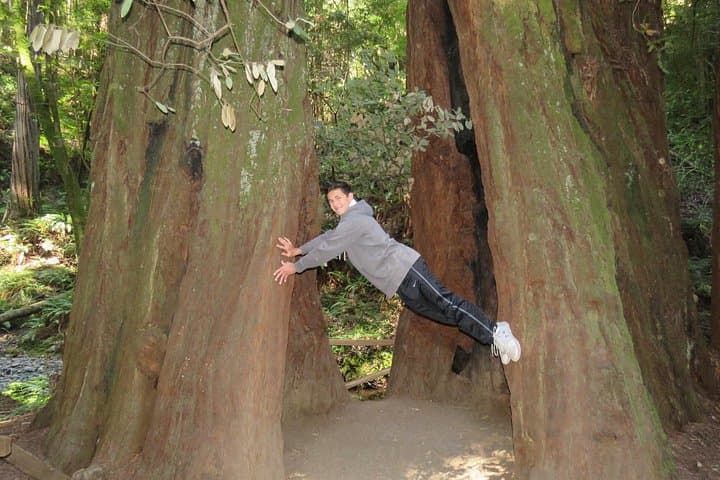 Point Reyes National Seashore and Muir Woods Private Day Tour from San Francisco photo 3