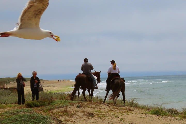 Pacific Coast Horseback & Alcatraz Day Tour from San Francisco photo 3