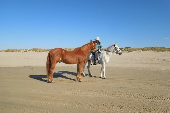 Pacific Coast Horseback & Alcatraz Day Tour from San Francisco