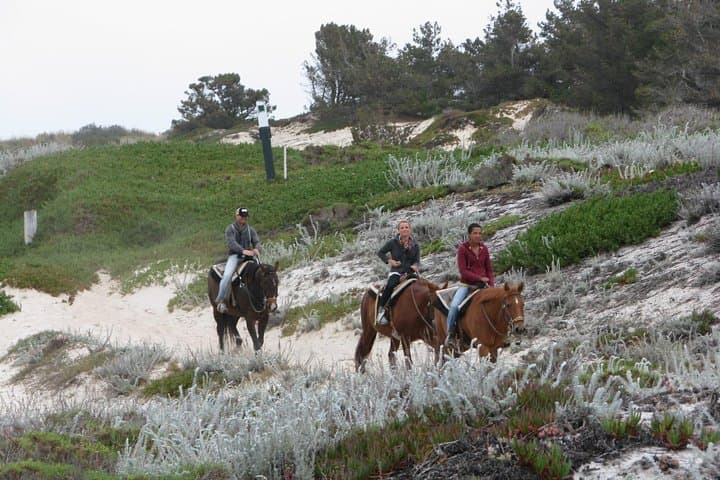 Pacific Coast Horseback & Alcatraz Day Tour from San Francisco photo 6