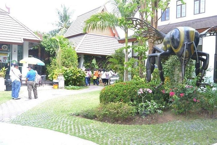Explore Big Bee Farm Pattaya: Honey Tours, Apitherapy Clinic & Return Transfers photo 5