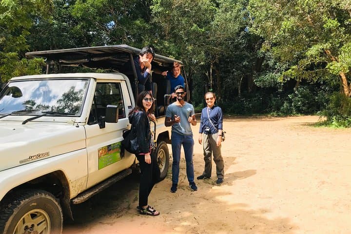 Minneriya Elephant Safari, Sigiriya Rock & Dambulla Cave Temples — Full-Day Adventure photo 3