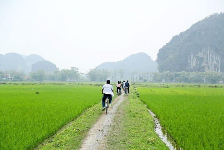 Hoa Lu, Tam Coc & Mua Cave: Full-Day Boat, Temple, Bike Loop from Hanoi photo 4