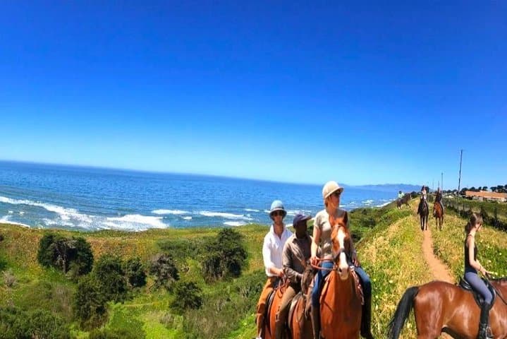 Private Redwoods Tour & Beach Horseback Riding from San Francisco photo 6