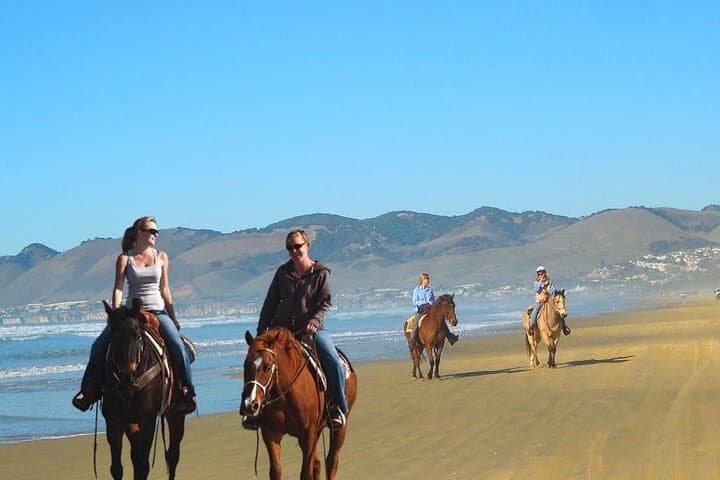 Private Redwoods Tour & Beach Horseback Riding from San Francisco