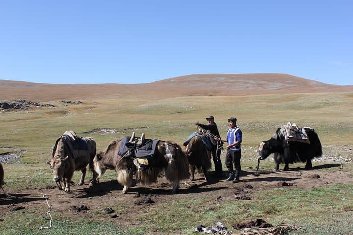 9-Day Horse Trekking — Mongolia’s Heartland from Karakorum to the Takhi photo 3