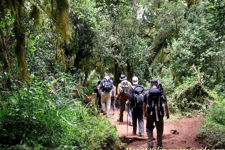 6-Day Machame Route Kilimanjaro Climb — Summit Uhuru Peak photo 3