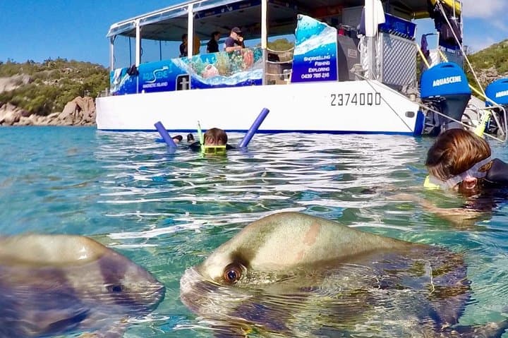 Magnetic Island Discovery Tour: Snorkeling, Paddle Boarding & Reef Guides photo 3