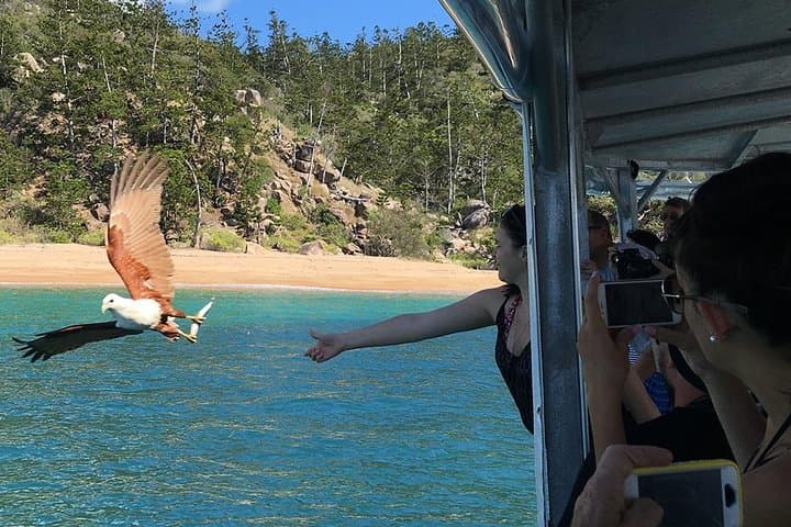 Magnetic Island Discovery Tour: Snorkeling, Paddle Boarding & Reef Guides photo 5