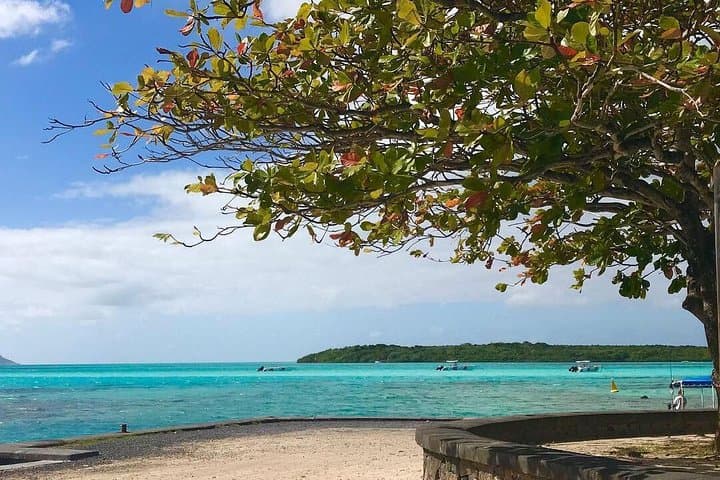 Mahebourg Discovery Tour: Colonial Houses, Biscuit Factory & Blue Bay by Private Car
