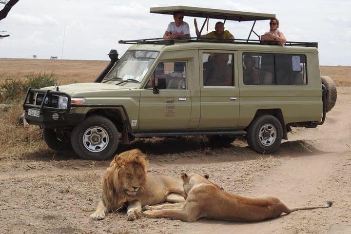 4-Day Serengeti, Olduvai Gorge & Ngorongoro Safari (Mwanza to Arusha) — Game Drives, Culture & Crater Views photo 3