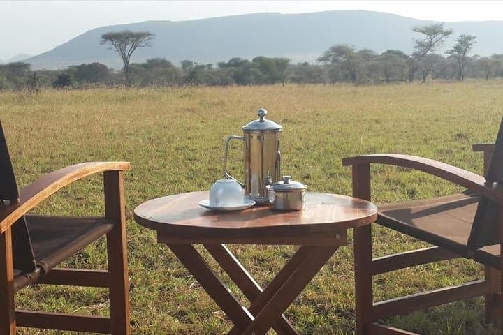 4-Day Serengeti, Olduvai Gorge & Ngorongoro Safari (Mwanza to Arusha) — Game Drives, Culture & Crater Views photo 4