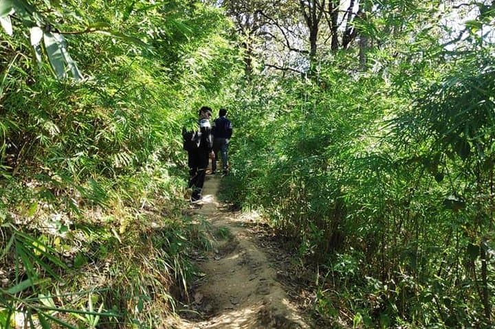 Phulchowki Hiking: Himalayan Panoramas, Birding & Godavari Trails photo 2