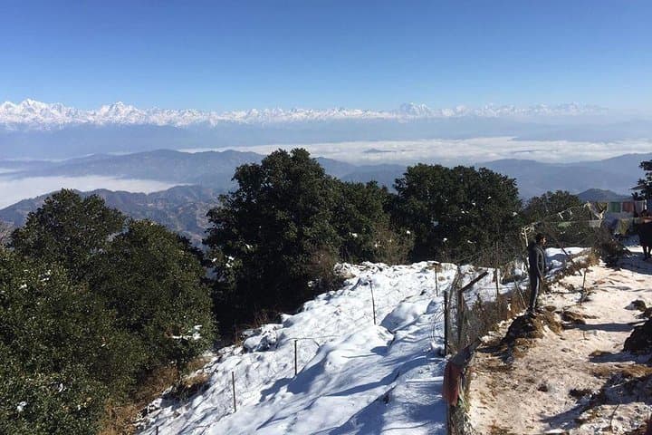 Phulchowki Hiking: Himalayan Panoramas, Birding & Godavari Trails photo 4