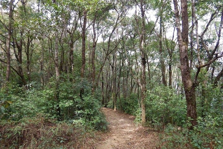 Nagarjun Day Hike: Quick Forest Escape & Kathmandu Valley Views