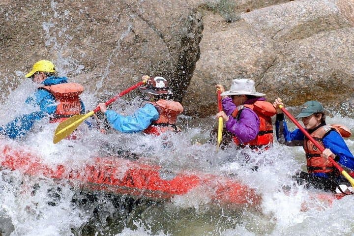 American River Whitewater Rafting from San Francisco — Private Full-Day Trip photo 6