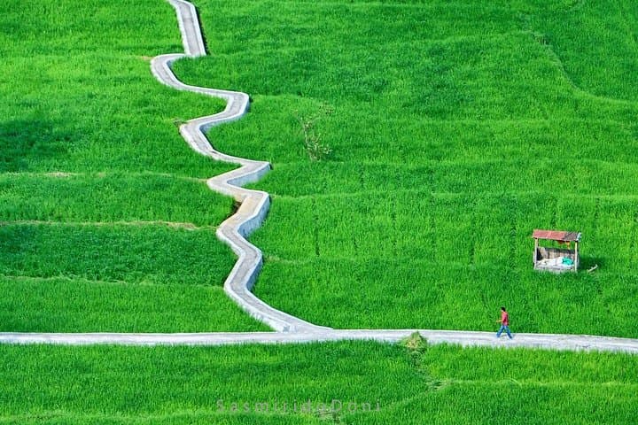 Bukittinggi Minangkabau Photography Trip: 3-Day Cultural & Landscape Workshop photo 4