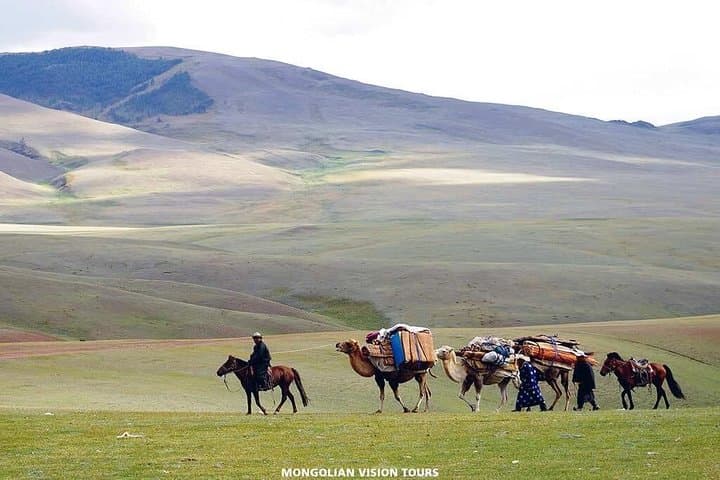 Khustai National Park: 2 Days with Przewalski's Horses and Nomadic Heritage