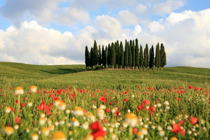 Val d'Orcia Day Trip: Montepulciano, Pienza & Montalcino From Rome photo 4
