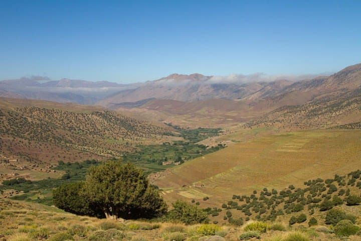 Atlas Trekking: 7-Day M’Goun Circuit from Aït Bouguemez photo 4