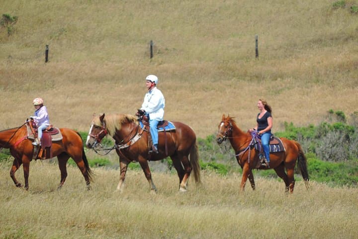 Ride the Redwoods: Private Horseback & Muir Woods Day Trip from San Francisco photo 2