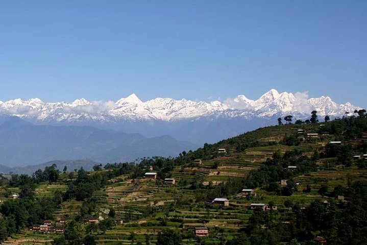 Phulchowki Day Hike from Kathmandu: Rhododendrons, Birds & Panoramic Views photo 3