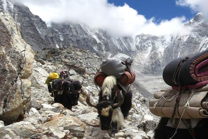 Everest Panorama Trek: 7-Day Mt Everest View Trek from Lukla photo 3