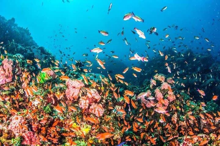 Two-Day Red Sea Snorkel Escape from Hurghada: Reefs, Beaches & Local Flavors photo 2