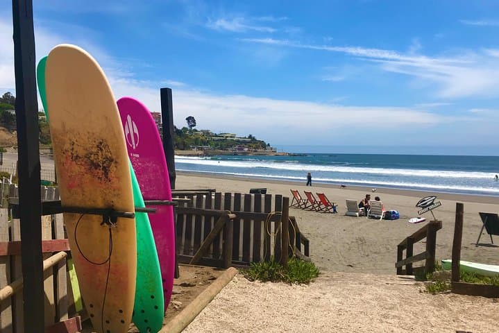 Concon Surf & Sandboard Adventure — Sea Lions, Beginner Waves & Chilean Snacks photo 3