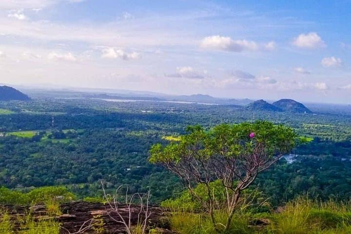 Sigiriya Rock, Pidurangala & Polonnaruwa Day Trip with Habarana Safari photo 3