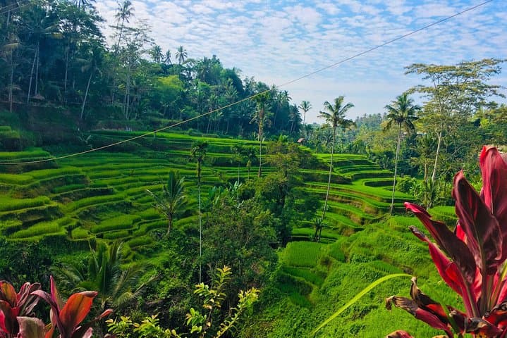 Central Bali Day Tour: Tukad Cepung Waterfall, Kehen Temple & Tirta Empul Purification photo 5