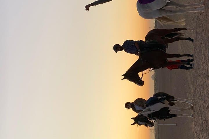 Sunrise & Sunset Desert Horse Riding in Dubai — 1-Hour Arabian Horse Experience photo 4