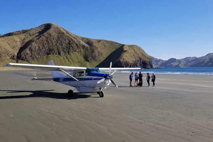 Queen Charlotte Water & Wilderness Scenic Flight from Picton photo 5