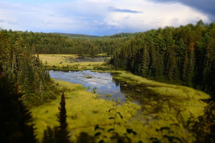 Algonquin Group Camping Adventure: 3-Day Canoe, Hike & Stargaze from Toronto photo 2