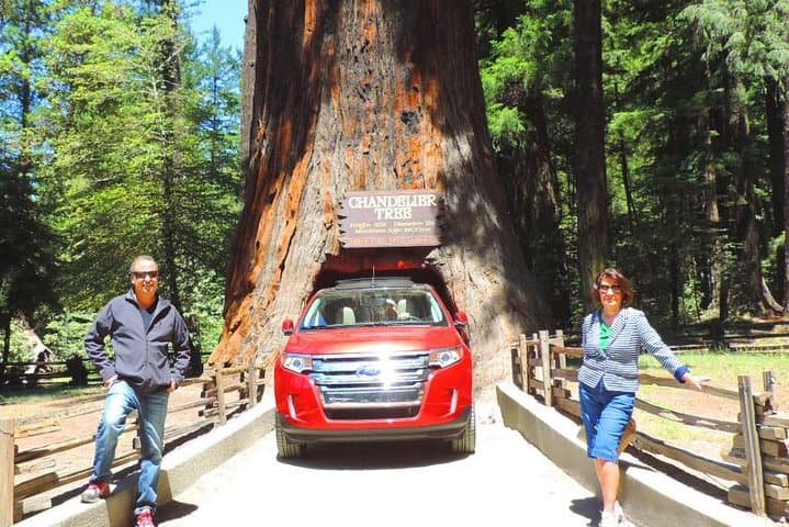 Explore Redwood National Park: A 2-Day Private Adventure from San Francisco
