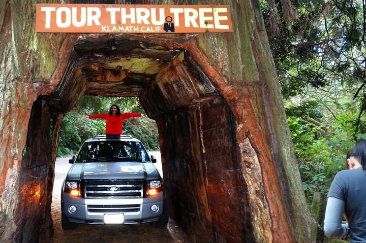 3-Day Private Redwood National Park Tour: Hidden Groves, Wildlife & Coastal Views photo 2
