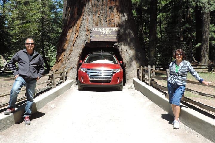 3-Day Private Redwood National Park Tour: Hidden Groves, Wildlife & Coastal Views photo 3