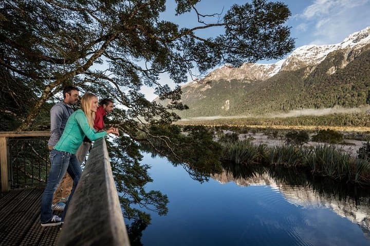 Milford Sound Coach and Nature Cruise with Scenic Flyback from Queenstown photo 6