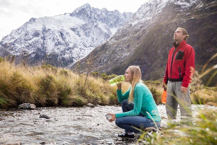 Milford Sound Coach & Nature Cruise from Queenstown — Full-Day Scenic Journey photo 5