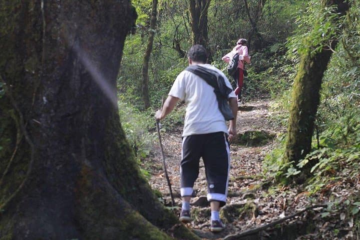 Shivapuri Day Hike: Skyline Views & Monastery Trails Near Kathmandu