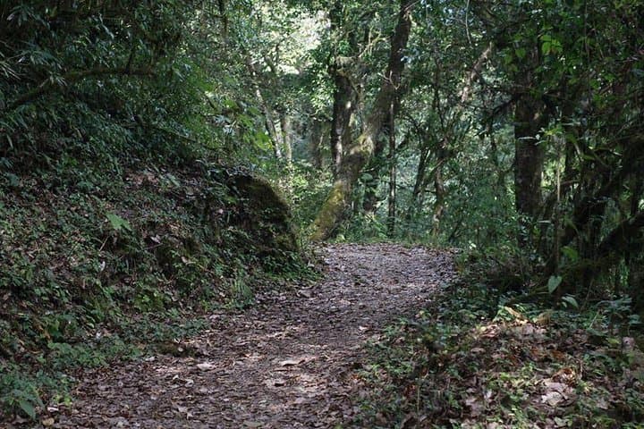 Shivapuri Day Hike: Skyline Views & Monastery Trails Near Kathmandu photo 2
