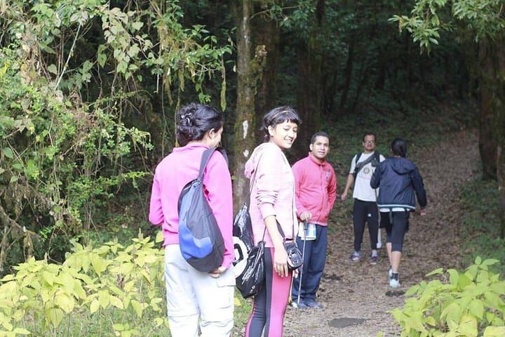 Shivapuri Day Hike: Skyline Views & Monastery Trails Near Kathmandu photo 3