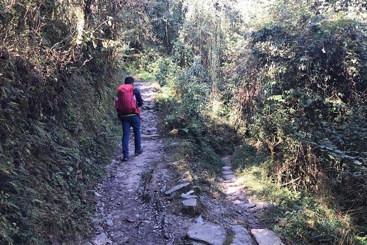 Australian Camp (Thulo Kharka) Day Hike — Annapurna Panorama from Pokhara photo 2